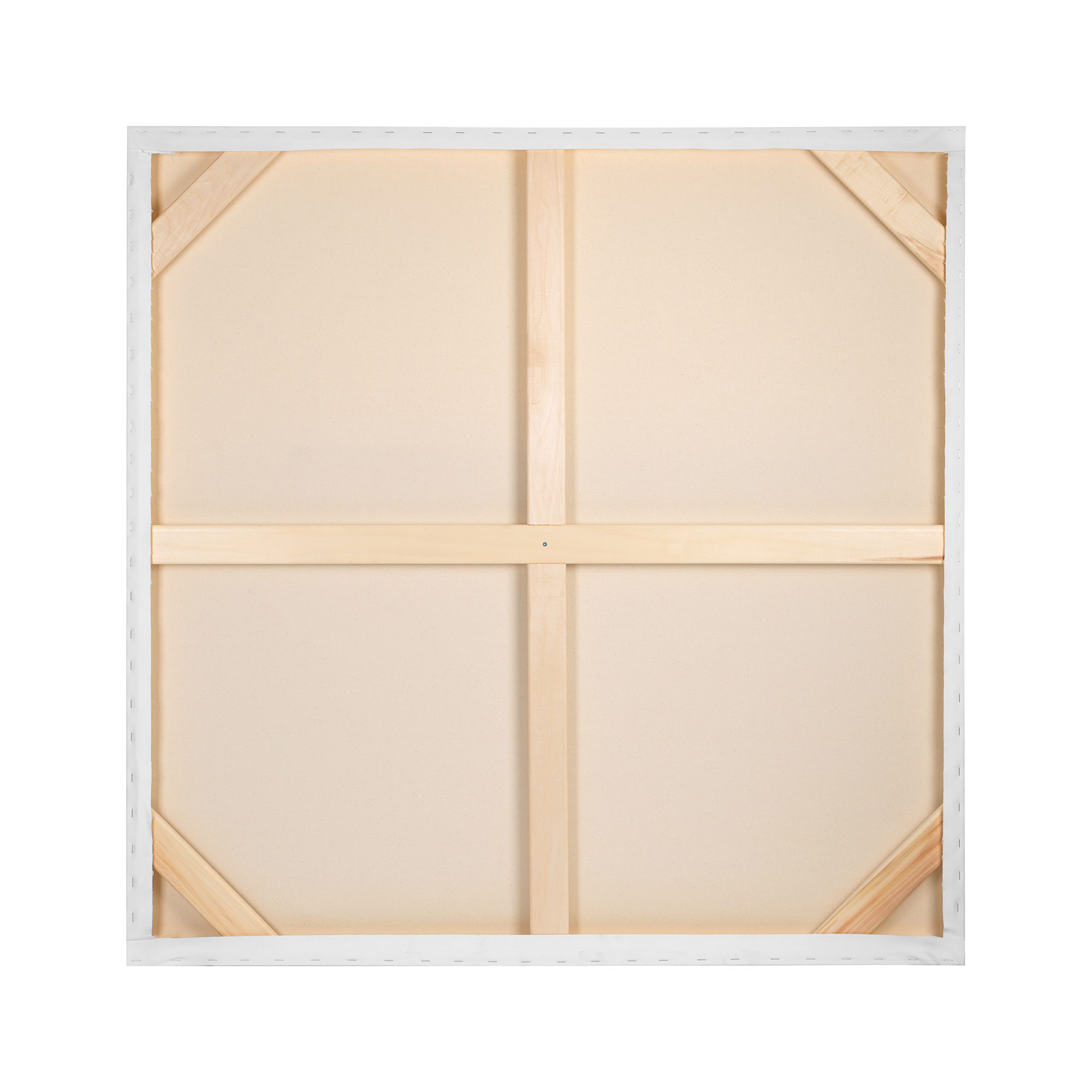 Back Canvas Pro With Corners